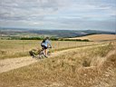 South Downs Way 0016.JPG